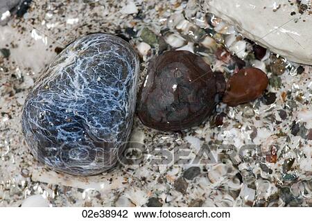 Coloured stones and pebbles along the shoreline in Costa Rica View Large Photo Image Stock Image - Coloured stones and pebbles along the shoreline in Costa Rica. Fotosearch