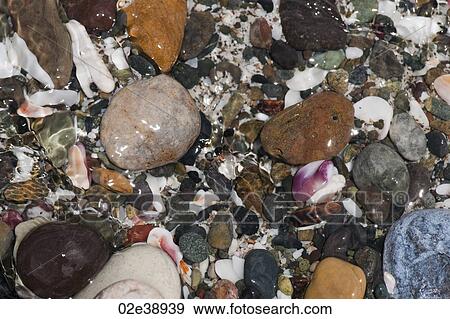 Stock Photo - Coloured stones and pebbles along the shoreline in Costa Rica. Fotosearch