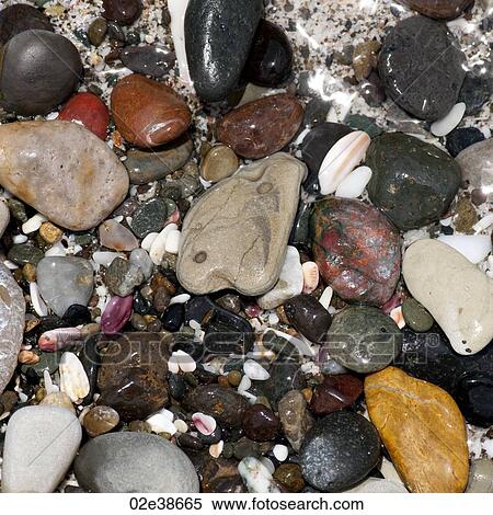 Coloured stones and pebbles along the shoreline in Costa Rica View Large Photo Image Stock Photography - Coloured stones and pebbles along the shoreline in Costa Rica. Fotosearch