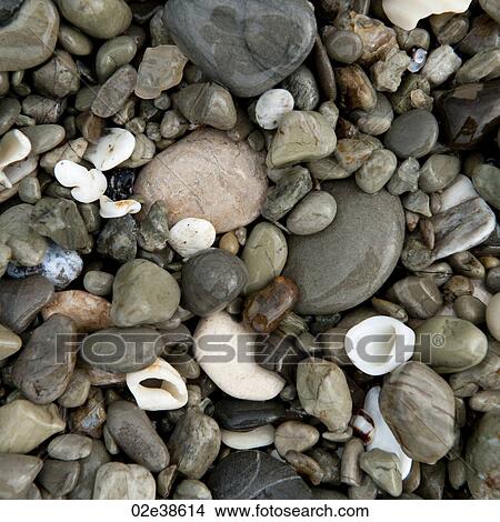 Colourful stones along shoreline in Costa Rica View Large Photo Image Picture - Colourful stones along shoreline in Costa Rica. Fotosearch