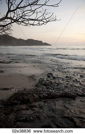 cool evening sunset over the calm beach Costa Rica with bare tree in forefront and peninsula in background View Large Photo Image Stock Photograph - cool evening sunset over the calm beach Costa Rica with bare tree in forefront and peninsula in background. Fotosearch