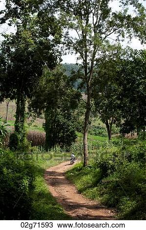 Dirt road passing through a field, Chiang Dao, Chiang Mai Province, Thailand View Large Photo Image Stock Image - Dirt road passing through a field, Chiang Dao, Chiang Mai Province, Thailand. Fotosearch