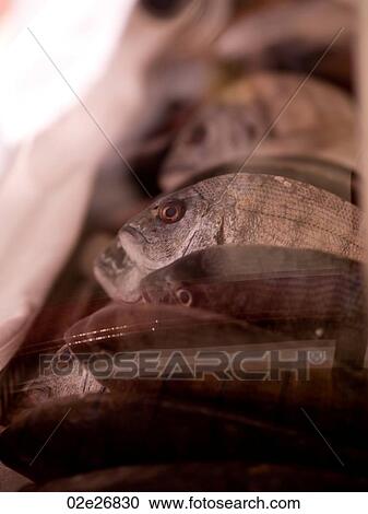 Stock Image - Display of fish in Mykonos Greece. Fotosearch