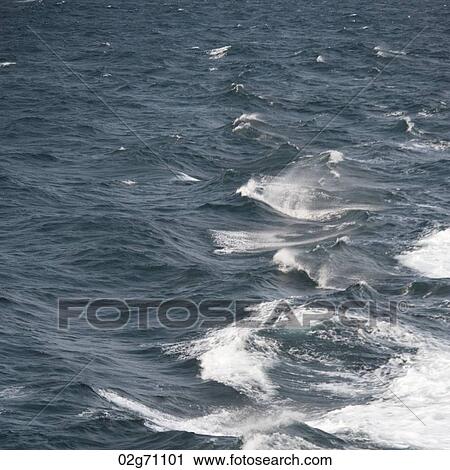 East China Sea View Large Photo Image Stock Image - East China Sea. Fotosearch