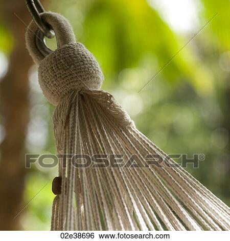 End cords of a hanging hammock in Costa Rica View Large Photo Image Stock Photograph - End cords of a hanging hammock in Costa Rica. Fotosearch