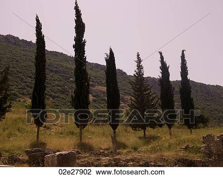Ephesus in Kusadasi Turkey View Large Photo Image Stock Image - Ephesus in Kusadasi Turkey. Fotosearch