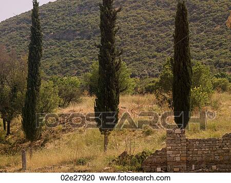 Stock Image - Ephesus in Kusadasi Turkey. Fotosearch