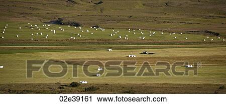 Farm fields with hay bales View Large Photo Image Stock Image - Farm fields with hay bales. Fotosearch