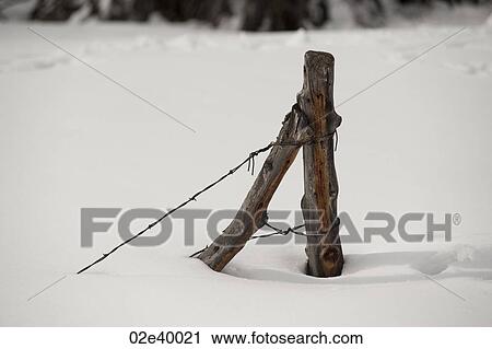 Stock Image - Fence posts in the snow Vail, Colorado. Fotosearch