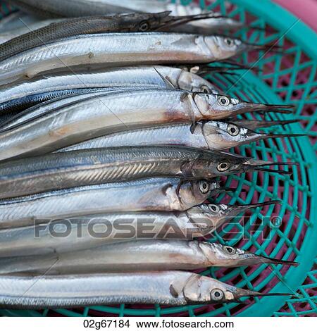 Fish at a stall in a fish market, Busan, Yeongnam, South Korea View Large Photo Image Picture - Fish at a stall in a fish market, Busan, Yeongnam, South Korea. Fotosearch