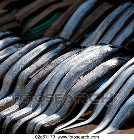 Fish at a stall in a fish market, Busan, Yeongnam, South Korea View Large Photo Image Stock Photo - Fish at a stall in a fish market, Busan, Yeongnam, South Korea. Fotosearch
