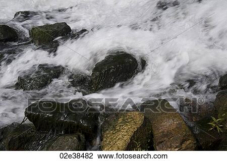Flow of water in lake Taneycomo in Branson, Missouri View Large Photo Image Stock Image - Flow of water in lake Taneycomo in Branson, Missouri. Fotosearch