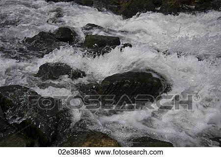 Flow of water in lake Taneycomo in Branson, Missouri View Large Photo Image Stock Image - Flow of water in lake Taneycomo in Branson, Missouri. Fotosearch