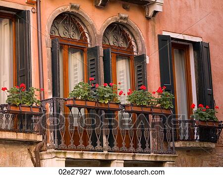 Flowers along balcony in Venice View Large Photo Image Stock Photo - Flowers along balcony in Venice. Fotosearch