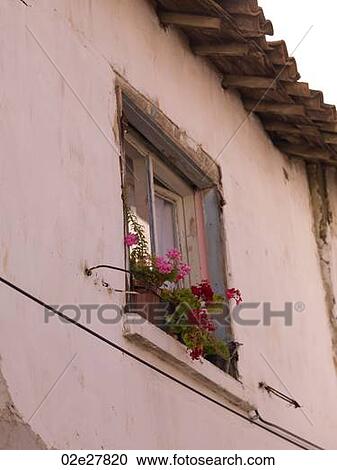 Flowers in a window in Kusadasi Turkey View Large Photo Image Stock Image - Flowers in a window in Kusadasi Turkey. Fotosearch