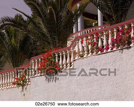 Flowers overgrowing a balcony in Katakolon View Large Photo Image Stock Image - Flowers overgrowing a balcony in Katakolon. Fotosearch