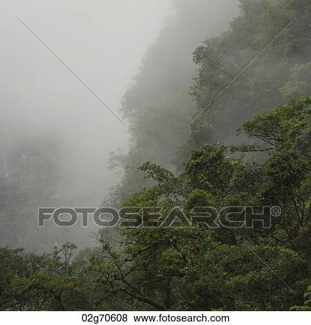 Fog in Sacred Valley, Cusco Region, Peru View Large Photo Image Stock Photo - Fog in Sacred Valley, Cusco Region, Peru. Fotosearch