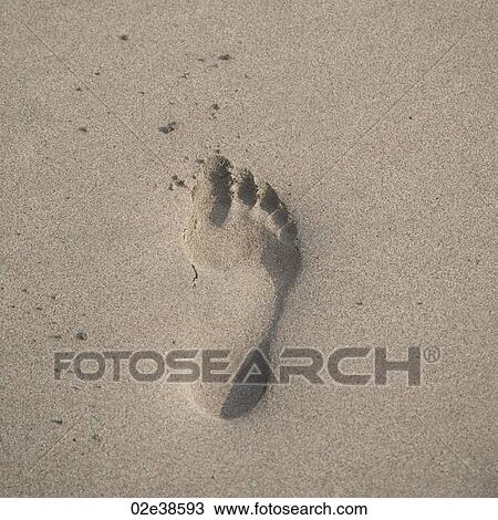 Footprint in the sand along shoreline in Costa Rica View Large Photo Image Stock Image - Footprint in the sand along shoreline in Costa Rica. Fotosearch