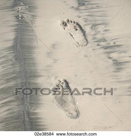 Picture - Footprints in the sand along the coast of Costa Rica. Fotosearch
