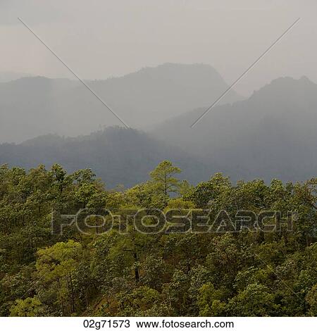 Forest with a mountain range in the background, Thailand View Large Photo Image Stock Image - Forest with a mountain range in the background, Thailand. Fotosearch