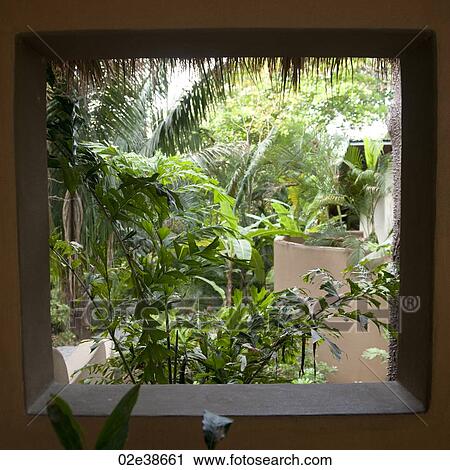Stock Image - Garden in Costa Rica. Fotosearch
