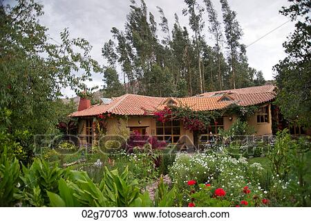 Garden in front of a guesthouse, Willka Tika, Sacred Valley, Cusco Region, Peru View Large Photo Image Stock Image - Garden in front of a guesthouse, Willka Tika, Sacred Valley, Cusco Region, Peru. Fotosearch