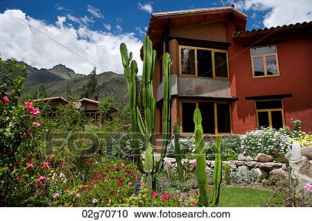 Garden in front of a guesthouse, Willka Tika, Sacred Valley, Cusco Region, Peru View Large Photo Image Stock Image - Garden in front of a guesthouse, Willka Tika, Sacred Valley, Cusco Region, Peru. Fotosearch