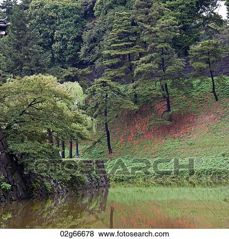 Garden of Imperial Palace, Tokyo, Japan View Large Photo Image Stock Photo - Garden of Imperial Palace, Tokyo, Japan. Fotosearch