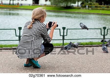 Girl taking picture of pigeons with a camera, Bergen, Norway View Large Photo Image Stock Image - Girl taking picture of pigeons with a camera, Bergen, Norway. Fotosearch