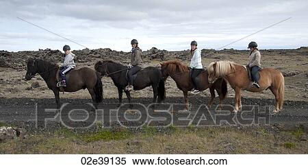 Stock Photography - Girls in riding helmets in a row on Icelandic horses . Fotosearch