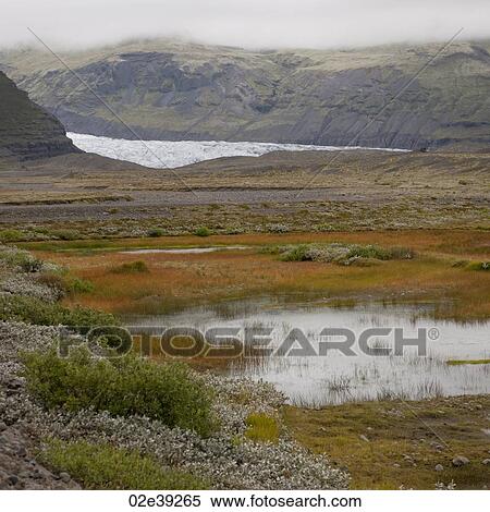 Glacier through mountain valley, wetlands in forefront View Large Photo Image Stock Photography - Glacier through mountain valley, wetlands in forefront. Fotosearch