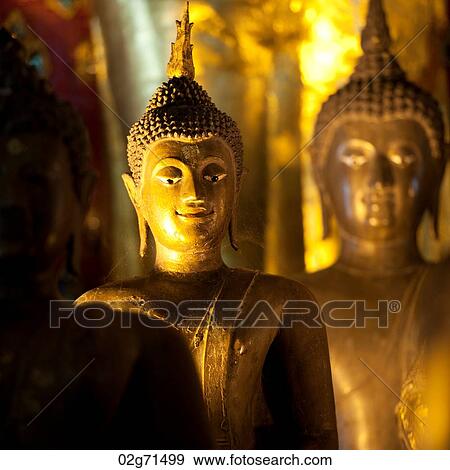 Golden statues of Buddha at Wat Phra Singh, Chiang Mai, Thailand View Large Photo Image Stock Photo - Golden statues of Buddha at Wat Phra Singh, Chiang Mai, Thailand. Fotosearch