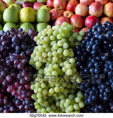 Grapes at a market stall, Mercado Central, Cuzco, Peru View Large Photo Image Stock Image - Grapes at a market stall, Mercado Central, Cuzco, Peru. Fotosearch