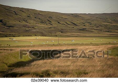 Grasslands in a mountain valley View Large Photo Image Stock Image - Grasslands in a mountain valley. Fotosearch