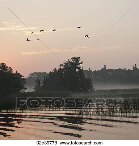 Stock Photo - Horizon sky at sunset in Lake of the Woods, Ontario. Fotosearch