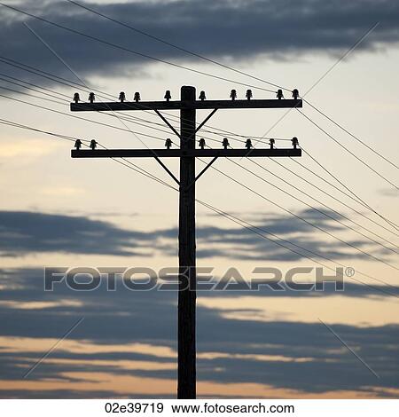 Hydro electric pole against the evening sky in Lake of the Woods, Ontario View Large Photo Image Stock Photo - Hydro electric pole against the evening sky in Lake of the Woods, Ontario. Fotosearch