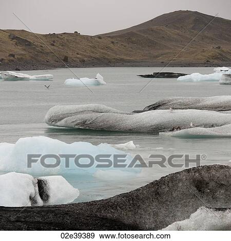 Stock Photo - Icebergs floating in glacial lake next to coastline. Fotosearch