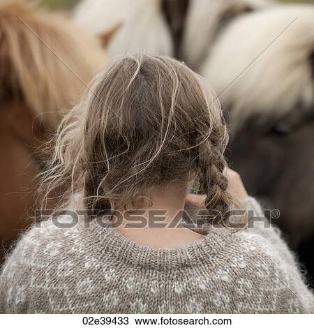 Icelandic horses with girl in braids View Large Photo Image Stock Image - Icelandic horses with girl in braids. Fotosearch