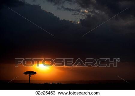 Kenya landscape at sunset View Large Photo Image Stock Image - Kenya landscape at sunset. Fotosearch