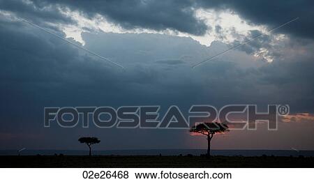 Kenya landscape at sunset View Large Photo Image Stock Photo - Kenya landscape at sunset. Fotosearch