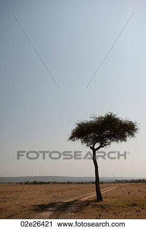 Stock Image - Kenya landscape. Fotosearch