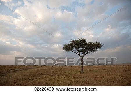 Kenya landscape View Large Photo Image Stock Photo - Kenya landscape. Fotosearch