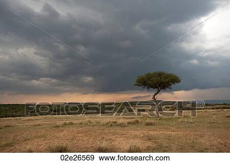 Kenya landscape View Large Photo Image Stock Photo - Kenya landscape. Fotosearch