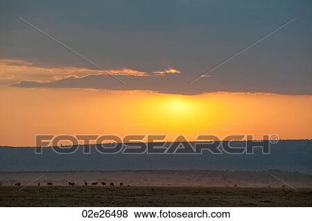 Kenya sky at sunset View Large Photo Image Stock Photo - Kenya sky at sunset. Fotosearch
