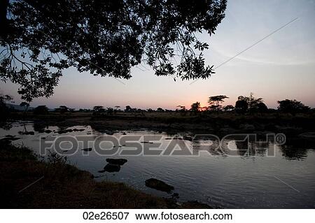 Kenya sky at sunset View Large Photo Image Stock Photo - Kenya sky at sunset. Fotosearch