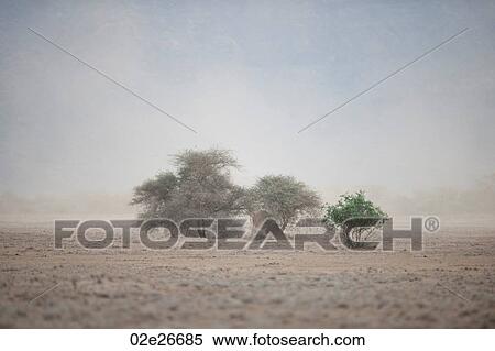 Kenyan landscape View Large Photo Image Stock Photography - Kenyan landscape. Fotosearch