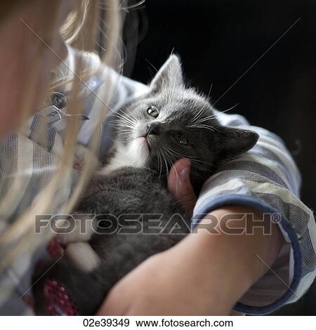 Kitten cuddled by girl View Large Photo Image Stock Photo - Kitten cuddled by girl. Fotosearch