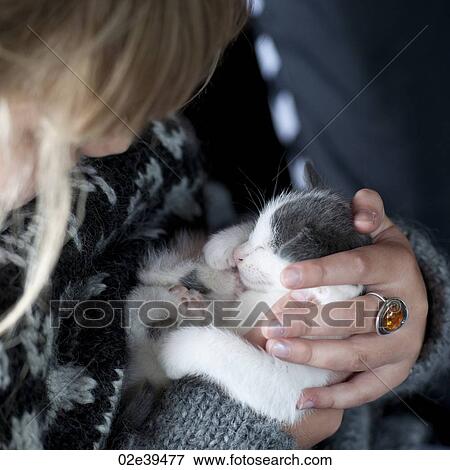 Kitten cuddled by girl View Large Photo Image Stock Photo - Kitten cuddled by girl. Fotosearch
