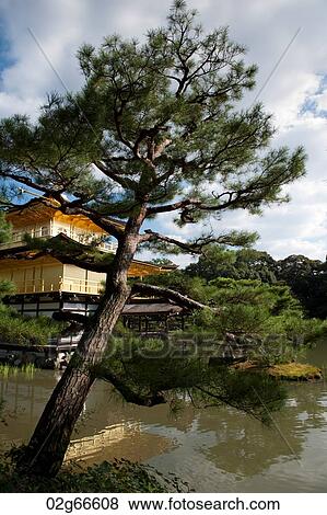 Stock Photo - Lake in front of Kinkaku-Ji Temple, Kyoto, Japan. Fotosearch