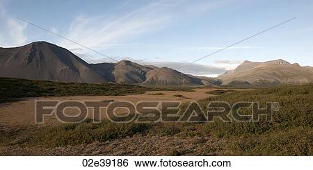 Stock Photograph - Landscape, arid plain, bushes, distant mountains. Fotosearch